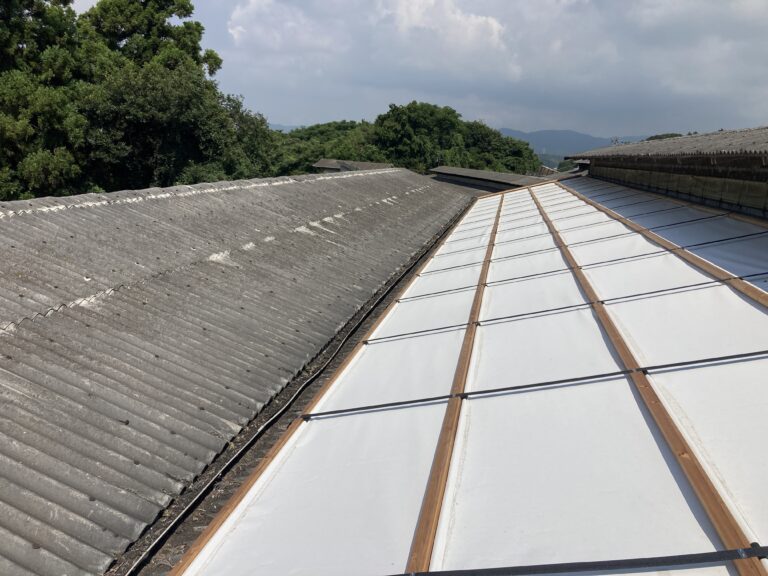 Reducing pig shipment age by 25 days