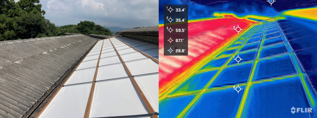 放射冷却素材「SPACECOOL」を活用した静岡県の豚舎にて 出荷日齢25日短縮の大幅な生産性改善を確認